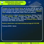 photo_6253623484676686929_x